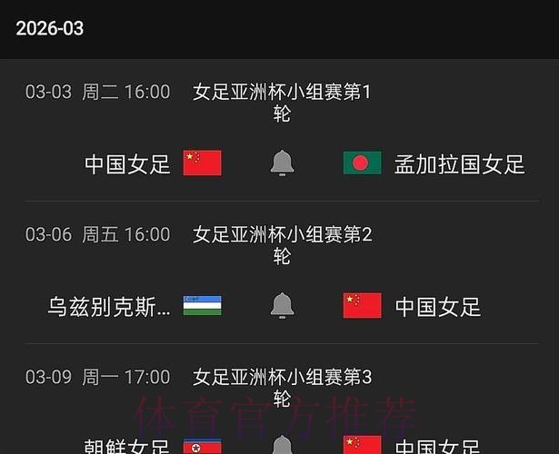 世界杯比赛是否提供实时直播服务